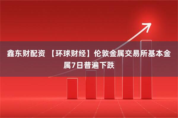 鑫东财配资 【环球财经】伦敦金属交易所基本金属7日普遍下跌