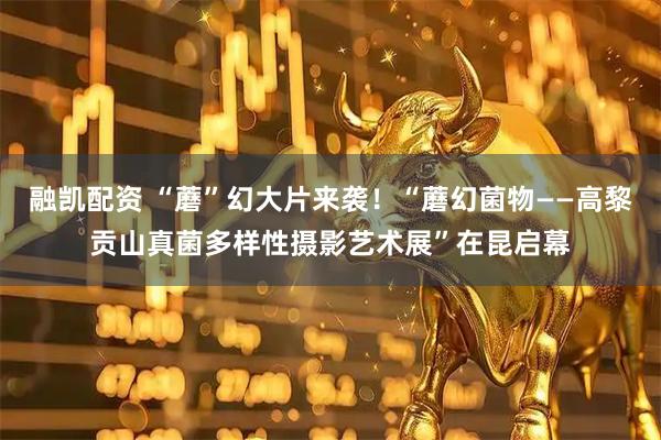 融凯配资 “蘑”幻大片来袭！“蘑幻菌物——高黎贡山真菌多样性摄影艺术展”在昆启幕